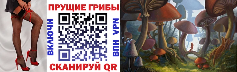 Галлюциногенные грибы Psilocybine cubensis  купить наркотики цена  Губаха 