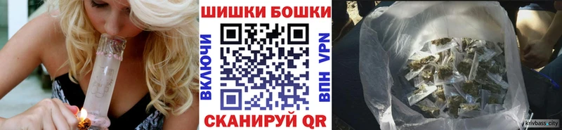 Бошки Шишки план Губаха
